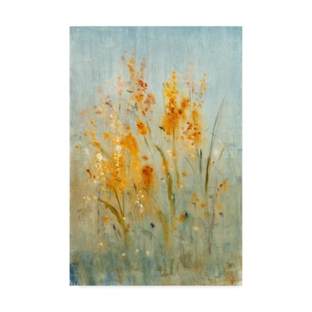 Tim Otoole 'Spray Of Wildflowers I' Canvas Art,30x47
